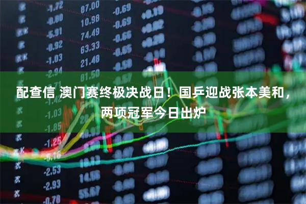 配查信 澳门赛终极决战日！国乒迎战张本美和，两项冠军今日出炉