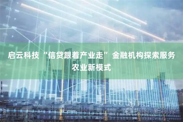 启云科技 “信贷跟着产业走” 金融机构探索服务农业新模式
