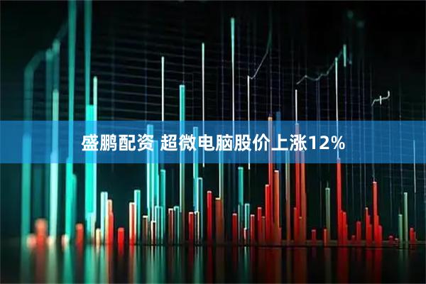 盛鹏配资 超微电脑股价上涨12%
